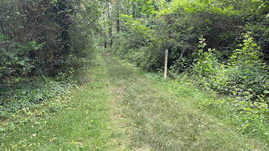 NPS Image
